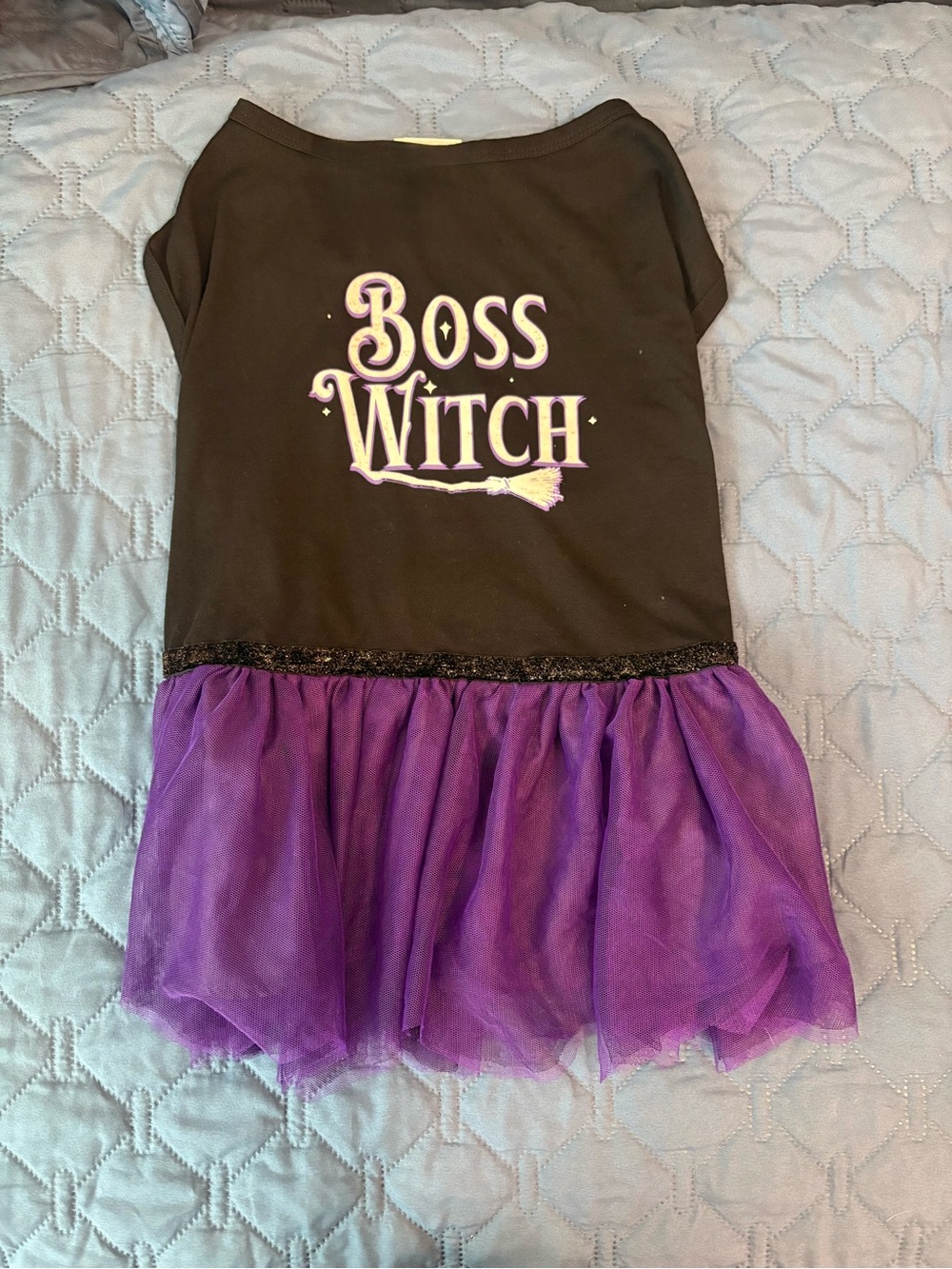 Boss Witch Dog Dress - Black and Purple